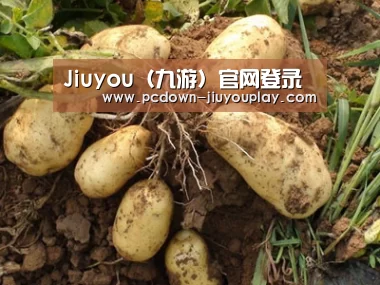 种植基地六
