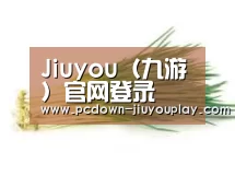 产品名称二