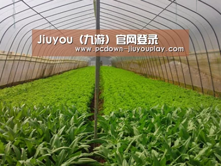 种植基地四