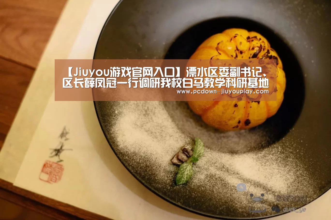 【Jiuyou游戏官网入口】溧水区委副书记、区长薛凤冠一行调研我校白马教学科研基地(图2) Jiuyou游戏官网入口
