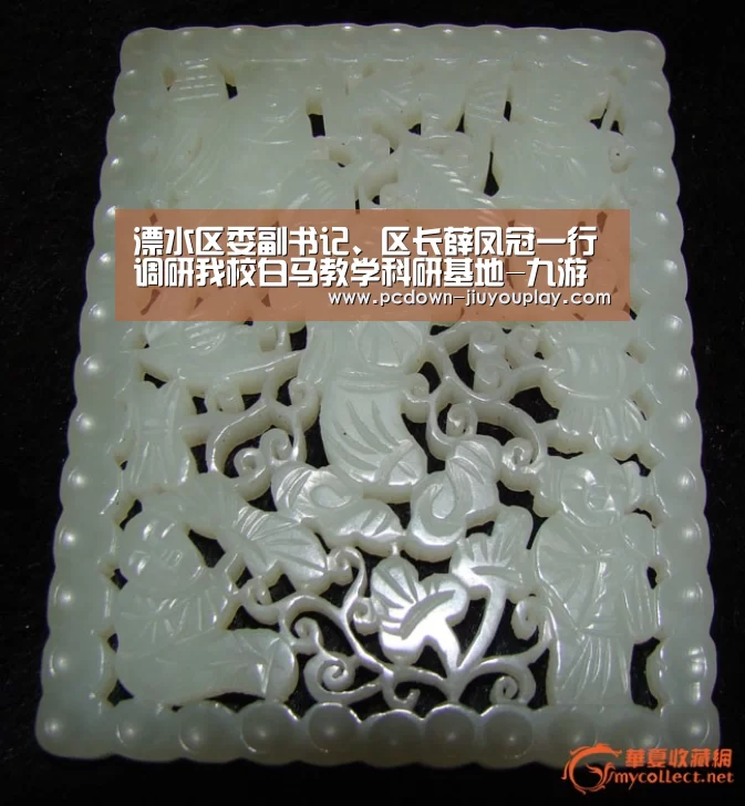 溧水区委副书记、区长薛凤冠一行调研我校白马教学科研基地-九游体育(图2) 九游官网唯一入口