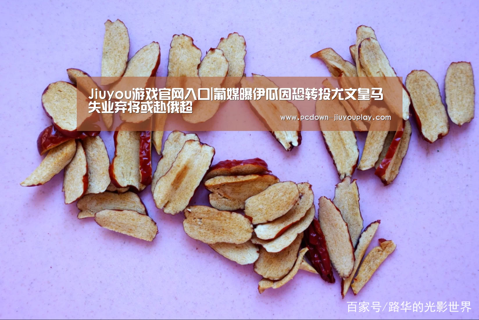 九游官网唯一入口 