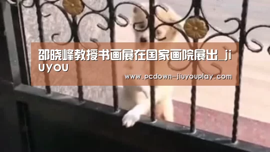 邵晓峰教授书画展在国家画院展出_jiuyou(图4) Jiuyou游戏官网入口